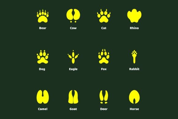 Animal Footprint Vector Icons