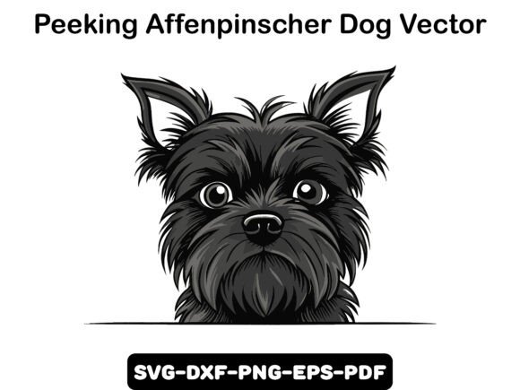 Peeking Affenpinscher Dog Vector