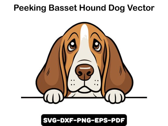 Peeking Basset Hound Dog Vector