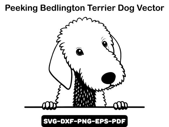 Peeking Bedlington Terrier Dog Vector