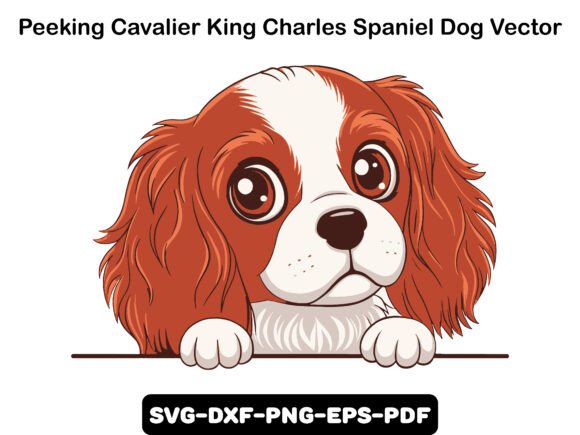 Peeking Cavalier King Charles Spaniel Design Review